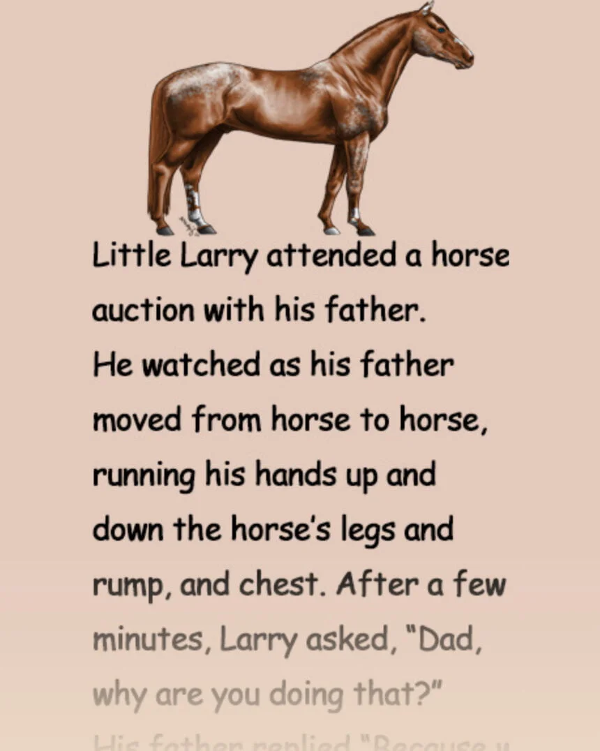 Buying a horse